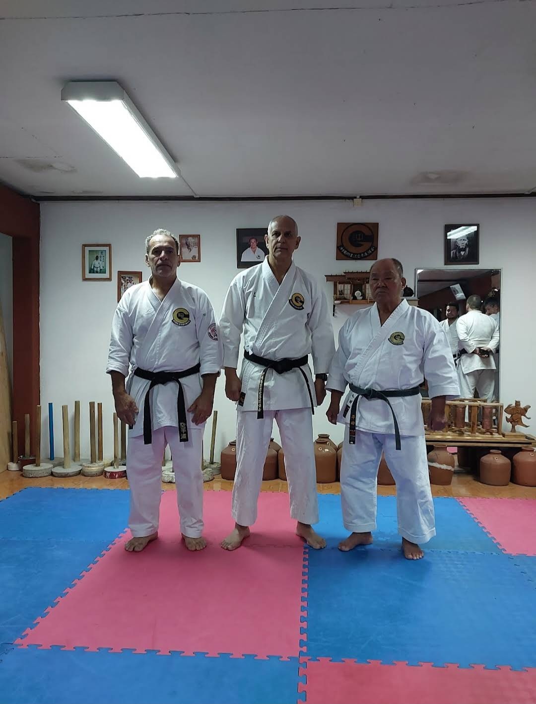 Med Farma - Múltiplas Unidades